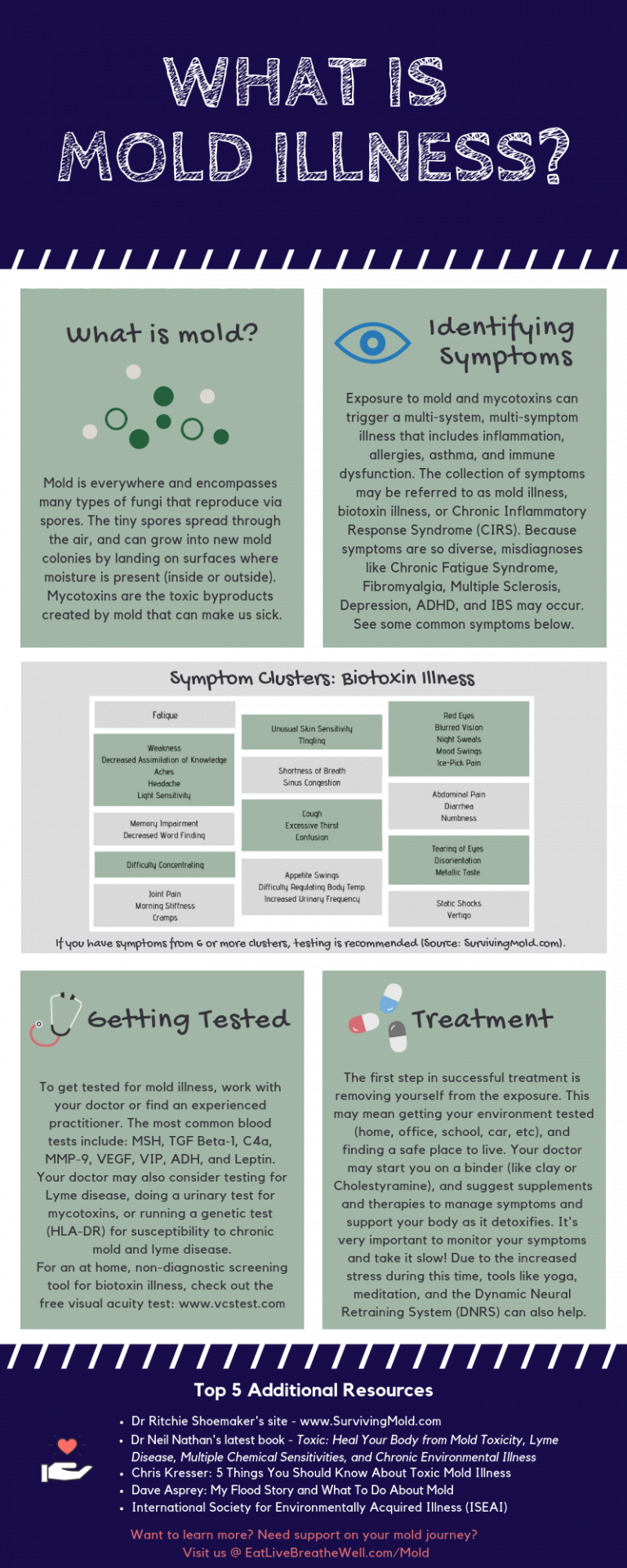 What Is Mold Illness? What Is CIRS? - Eat. Live. Breathe. Well